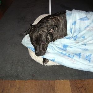 Meet your Posher, Tina